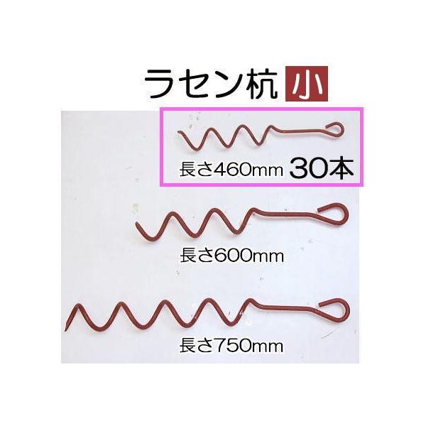 30本特価 ラセン杭 小 F9 460mm 30本組 赤錆止め塗装 ビニールハウス パイプ倉庫の固定に らせん杭 Buyee Buyee Japanese Proxy Service Buy From Japan Bot Online