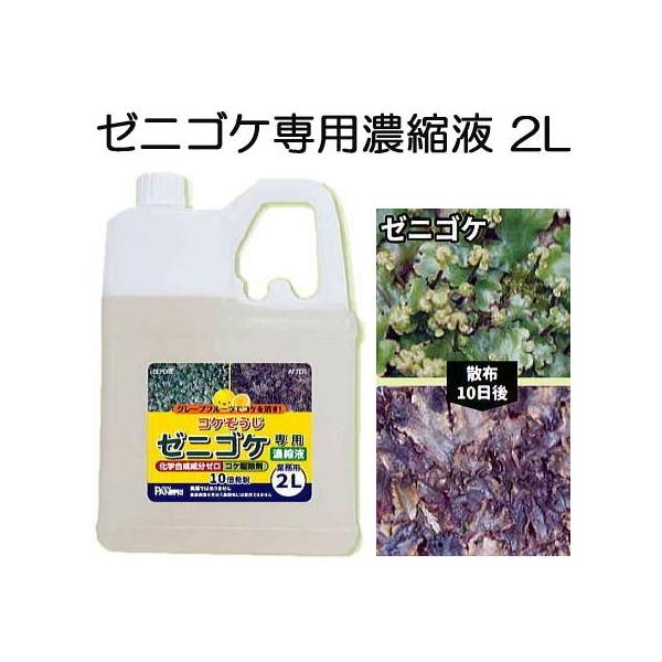 () RP [jSPpZkt 2L Ɩp pltH (SDSmF)