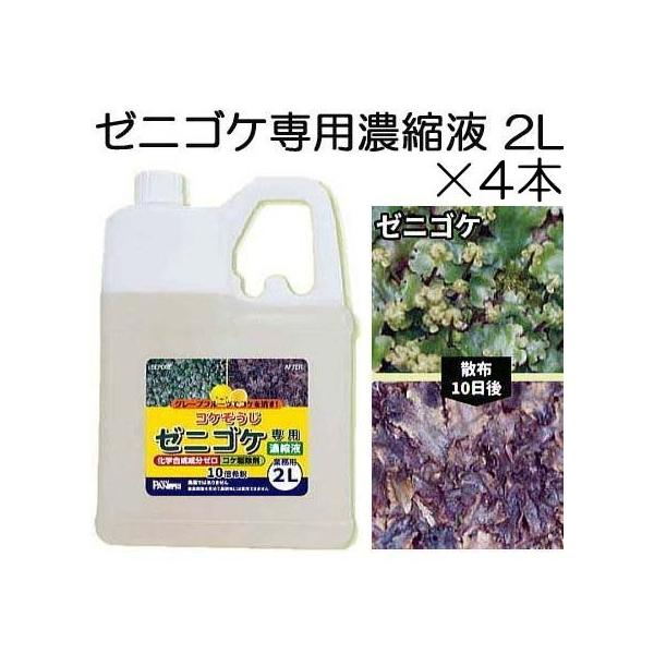 (4{Zbg) RP [jSPpZkt 2L×4(1P[X) Ɩp pltH (SDSmF)