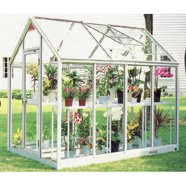 ([J[݌Ɍ) Op v`J WP-15H y˃^Cvz 1.5 g (kCAA ) sJ R[|CV