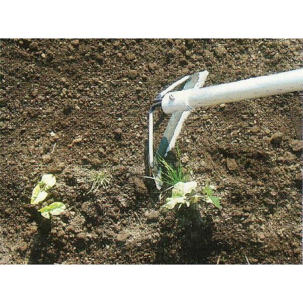 z[ F21 t P045-GEAy菜zXe[Lz[ 21cm F-21 @ Ƃ  LEz[