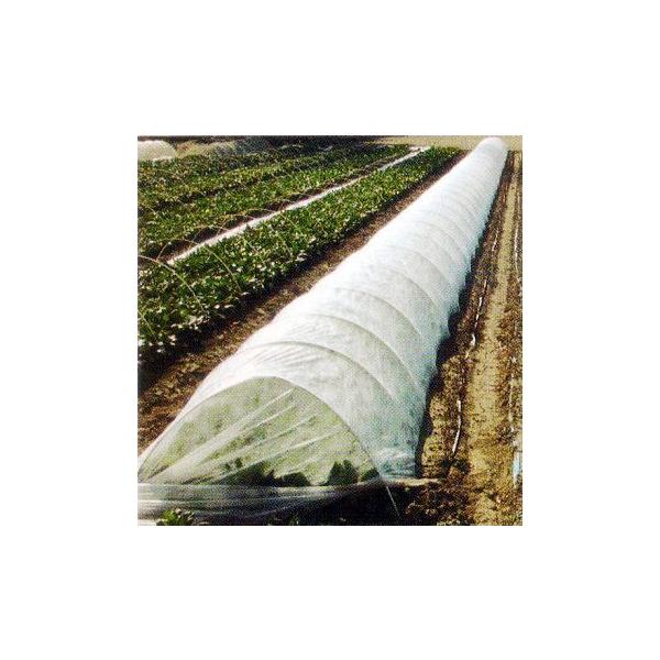 _Ɨpׂ sDz pIpI90@180cm×200 90 B̖@lȂ瑗