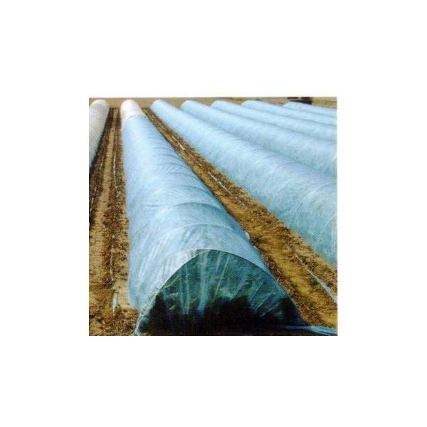 sDz _Ɨpׂ pIpI 180cm×200 85 B̖@lȂ瑗