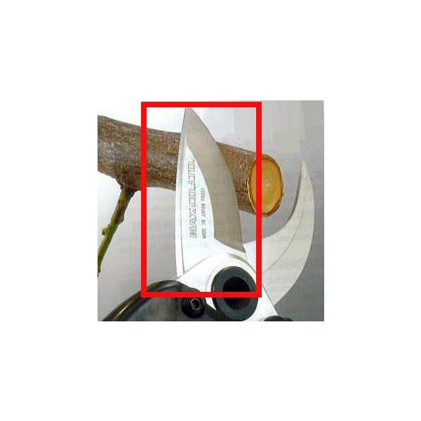 MAX UNI ֐n (n) PA90021 [dp PA-SJ30VA-BCK }bNX ([֓) (zmN5)