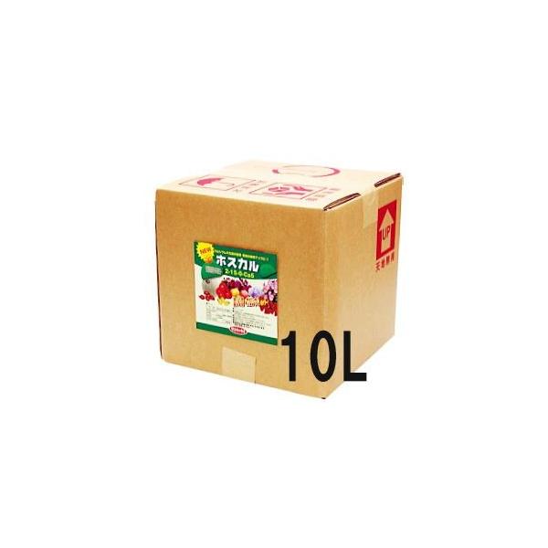 _t zXJ 10L (12kg) TJ^̃^l