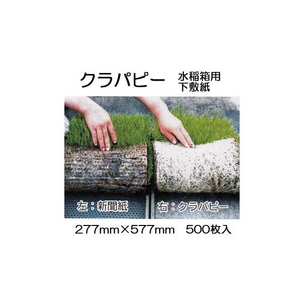 (500Zbg) jbe cp~ p Nps[ 277×577mm {[ؐ |@lElƎҌ