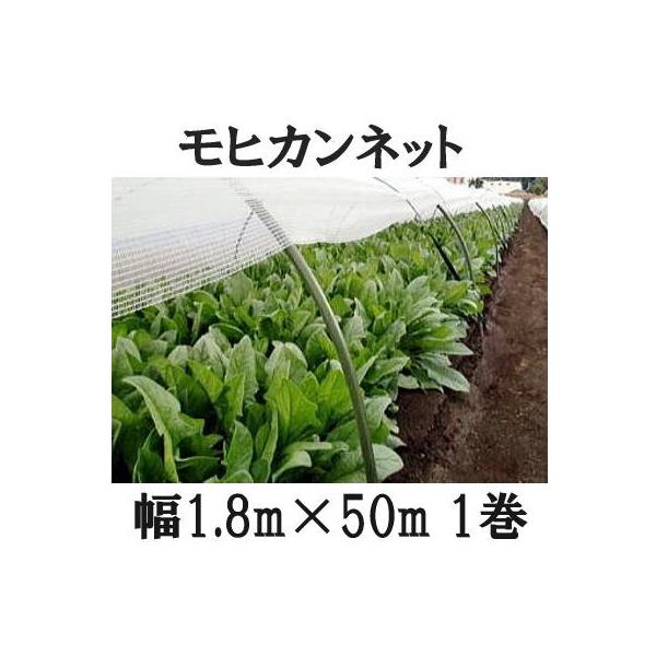 Ẵgl͔| qJlbg 1.8m×50m 1 TJ^̃^l