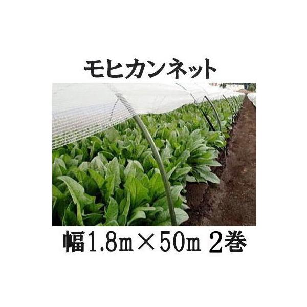 (2Zbg) Ẵgl͔| qJlbg 1.8m×50m TJ^̃^l