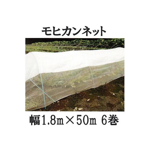 (6Zbg) Ẵgl͔| qJlbg 1.8m×50m TJ^̃^l