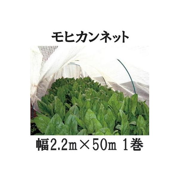Ẵgl͔| qJlbg 2.2m×50m 1 TJ^̃^l