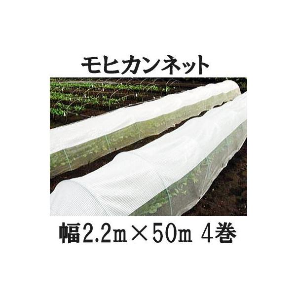 (4Zbg) Ẵgl͔| qJlbg 2.2m×50m TJ^̃^l