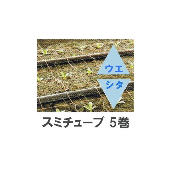 住化農業資材株式会社　スミチューブウエシタ　２００m巻　5個セット 5巻セット特価) 灌水チューブ スミチューブ ウエシタ 200m巻×5
