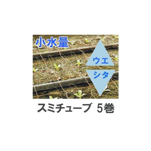 (5巻セット特価) 灌水チューブ スミチューブ ウエシタ 小水量 200ｍ巻×5 WB1034 住化農業資材 (個人宅へは取寄発送)