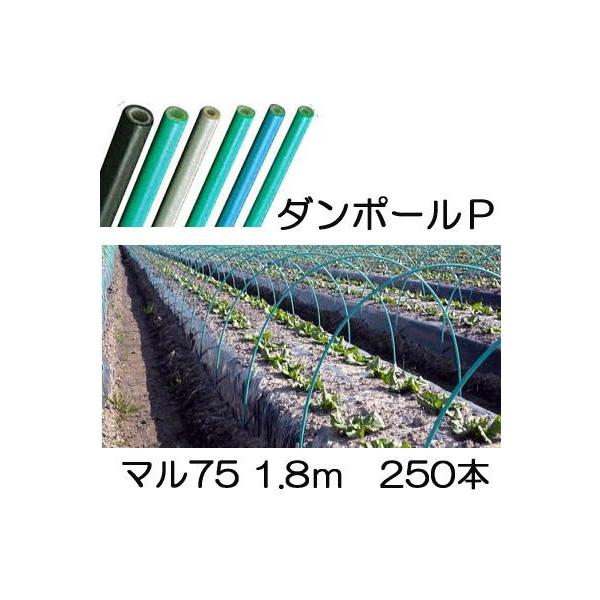 (p250{Zbg) _|[P }75 ×1.8m  gl90cm FGNV (lzOK) mglx A[`xn