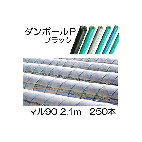 (p250{Zbg) _|[P }90 ×2.1  gl100cm FGNV (lzOK) mglx A[`xn