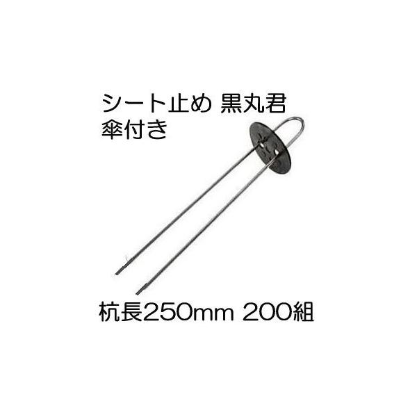 (200gZbg) یN (یN 4   X`[Y 25cm) wAsY 250mm Pt (}` hV[g sDz̎~ߋ) V[g V[gs UsY