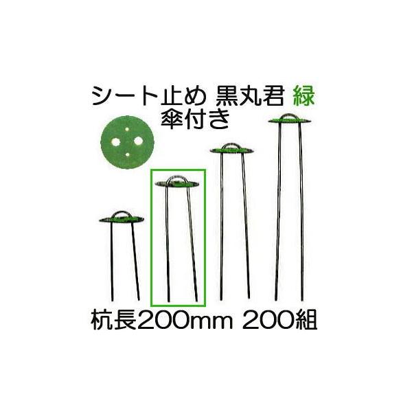 (200g) یN (یN 4   X`[Y 20cm) X`[Y 200mm Pt  (}` hV[g sDz̎~ߋ) V[g V[gs UsY