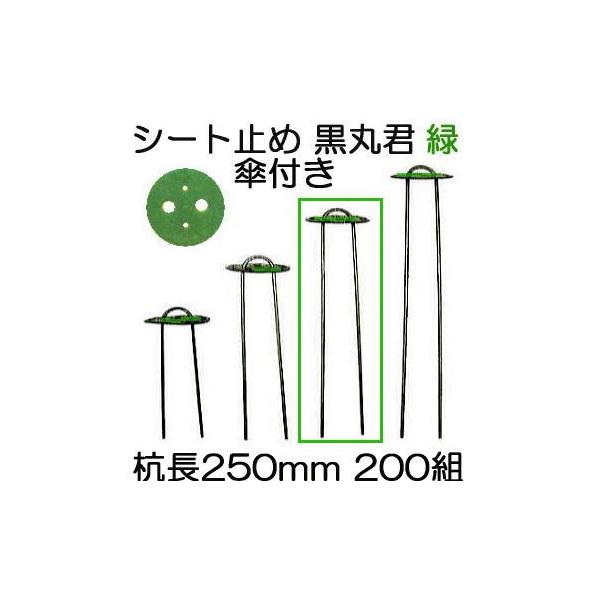 (200gZbg) یN (یN 4   X`[Y 25cm) wAsY 250mm Pt  (}` hV[g sDz̎~ߋ) V[g V[gs