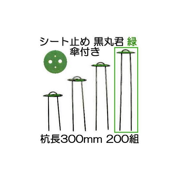 (200gZbg) یN (یN 4   X`[Y 30cm) wAsY 300mm Pt  (}` hV[g sDz̎~ߋ) V[g V[gs