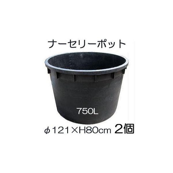 (2Zbg) i[Z[|bg TCY 750L RP121×H80cm ꌊ̗LI ^|bg