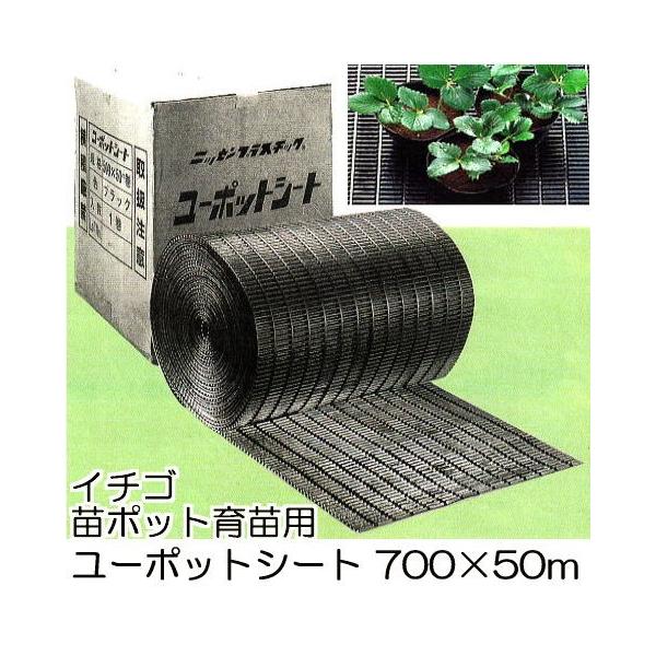 (@l) jbZ [|bgV[g 700mm×50m C`Sc|bgcp~V[g |ebN