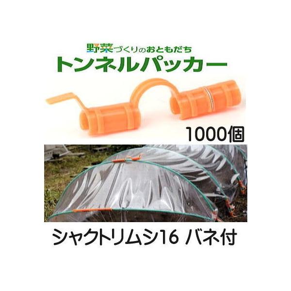 (P[X 1000Zbg) glpbJ[ VNgV16 olt 16mm×150mm IW SE TEt[ {@sanf