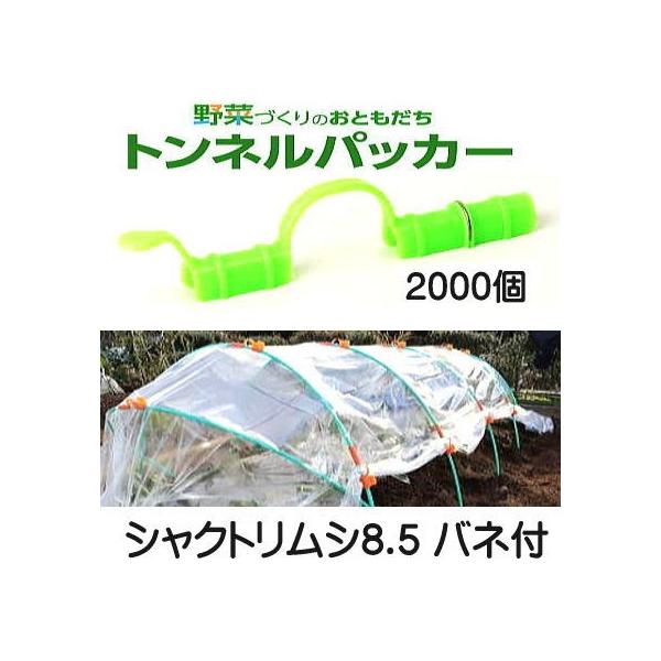 (P[X 2000Zbg) glpbJ[ VNgV8.5 olt 8.5mm×138mm ᑐ SE TEt[ { sanf