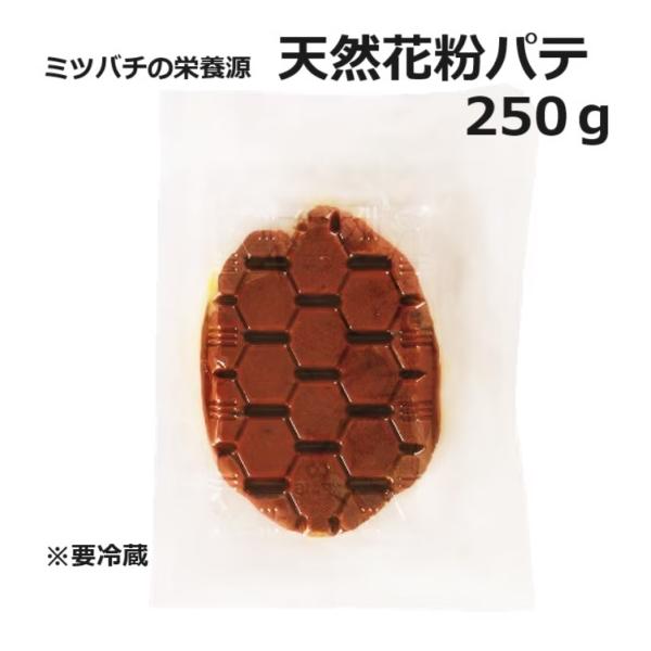 tackey_saka0837