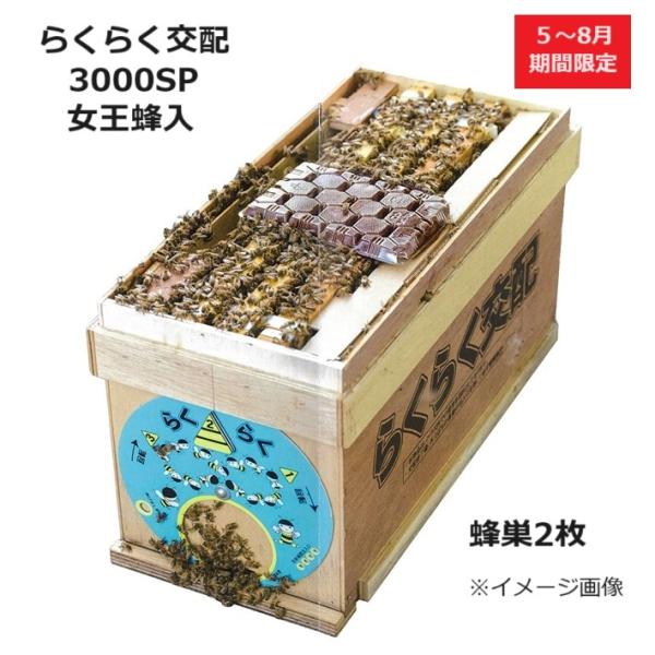 確認用　ミツバチ様 5〜8月期間限定販売) ミツバチ らくらく交配3000SP 働き蜂約3000