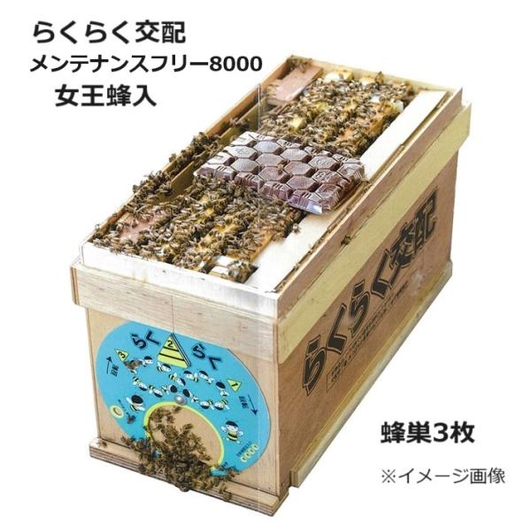 確認用　ミツバチ様 確認用 ミツバチ様 ミツバチ 受粉用 ミツバチボーヤ4000 長期