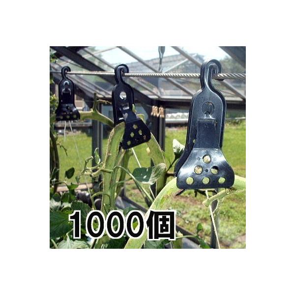 (1000) VUqII g}gU^[͔|pU 100×10 g}gU U Uq2 UqII iXjbNX