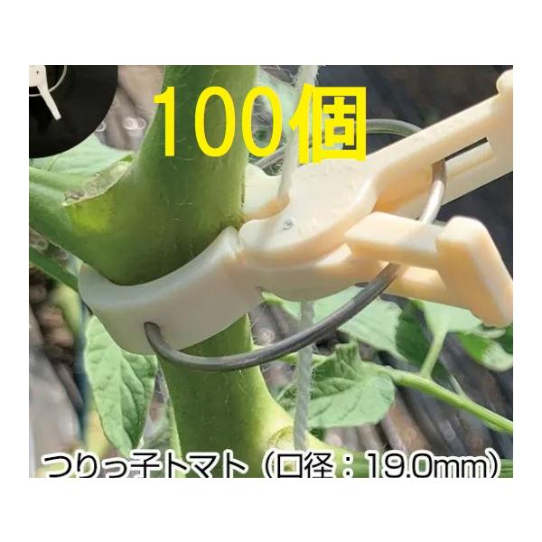 ハウス栽培用誘引具 つりっ子 トマト用 バネ レギュラー 100個入 つりっこ ナスニックス Saka1162 ザ タッキーyahoo 店 通販 Yahoo ショッピング