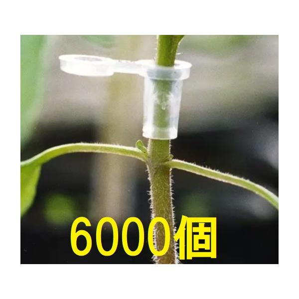 6000個入) 接木ホルダー スーパーウィズ 1000個入×6袋 ナスニックス