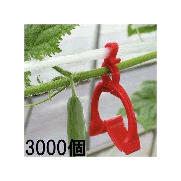 きゅうり 3000個入特価) きゅうり棚線クリップ さやか 500個入×6袋 ナスニックス