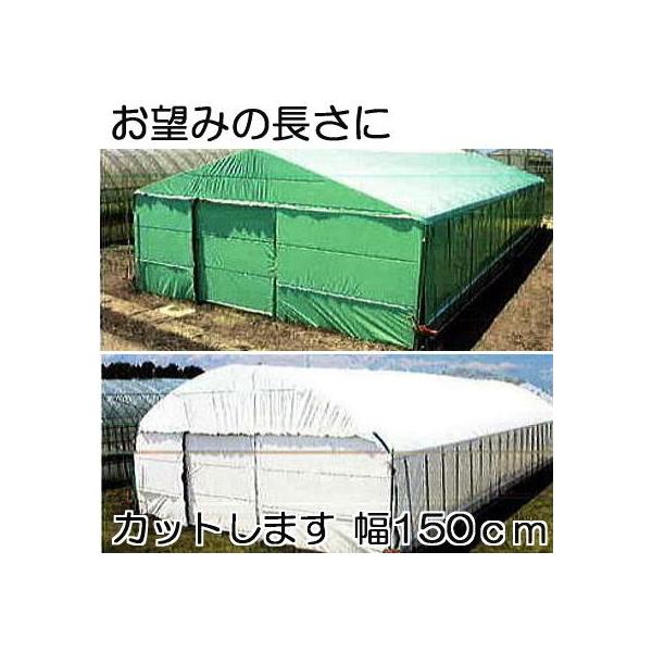 _POtB nNN 0.15mm×150cm×30 d6.0kg (wOK) ʎdl (E) _Ɨpi[ (2g) MKVAhoX