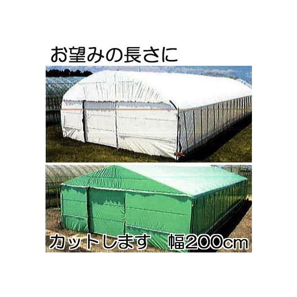 _POtB nNN 0.15mm×200cm×30 d9.0kg  ʎdl iE΁j _Ɨpi[ 2g MKVAhoX