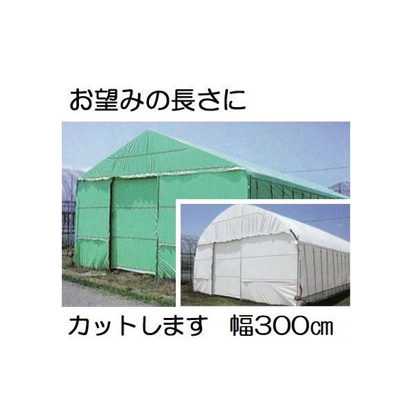 _POtB nNN 0.15mm×300cm×30 d15.0kg 30mi ʎdliE΁j _Ɨpi[ MKVAhoX