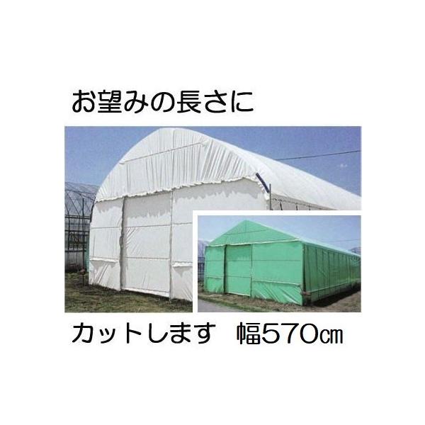 _POtB nNN 0.15mm×570cm×30 d26.2kg 30kgi ʎdl iE΁j _Ɨpi[ q MKVAhoX