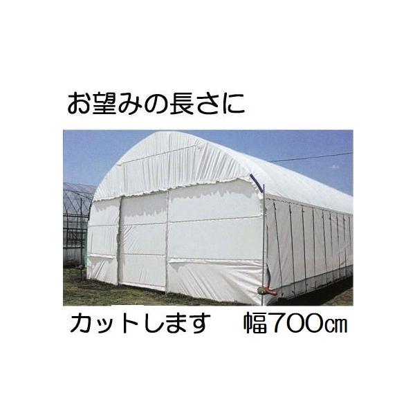 _POtB nNN 0.15mm×700cm×30 d32.1kg 30mi ʎdl (E) _Ɨpi[ q MKVAhoX