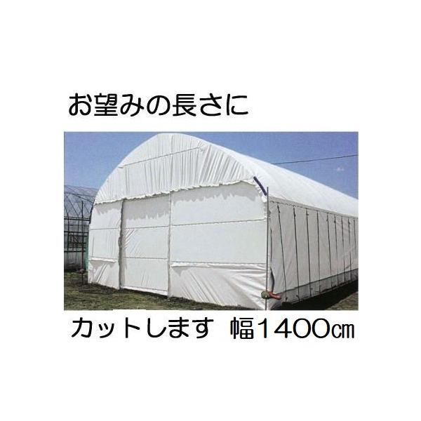 _POtB nNN 0.15mm×1400cm×30 d64.3kg 30mi ʎdl iE΁j _Ɨpi[ q MKVAhoX