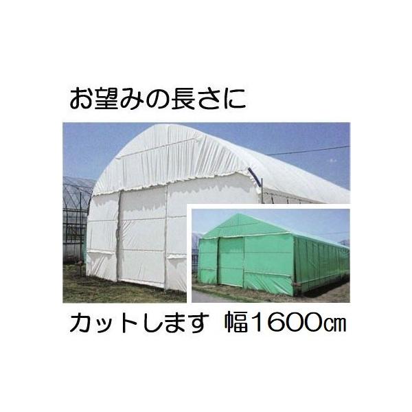 _POtB nNN 0.15mm×1600cm×30 d73.4kg 30mi ʎdliE΁j _Ɨpi[ q MKVAhoX