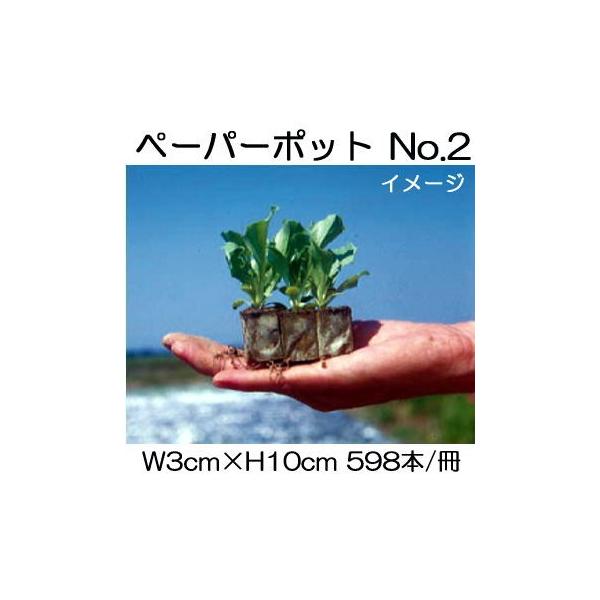 y[p[|bg No.2 59860 XC[gR[AAXpKXAJ[l[V jbe {[ؐ |@lElƎҌ