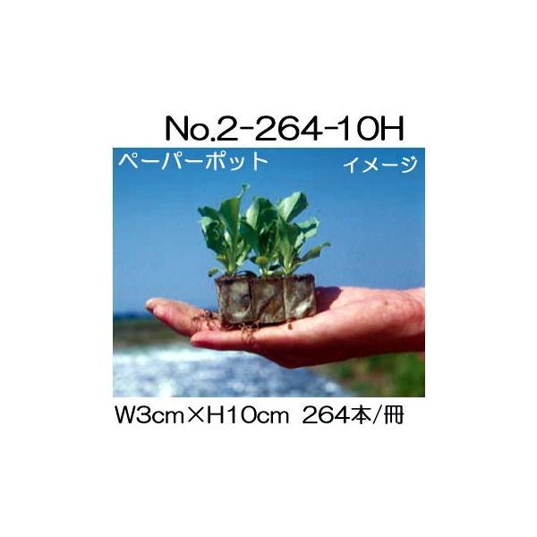 y[p[|bg No.2-264(10H) 264{t55 XC[gR[AAXpKXAc jbe {[ؐ |@lElƎҌ