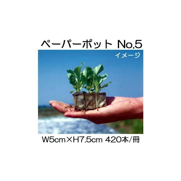 y[p[|bg No.5 420{t45 GhEA͂A񂬂AJ[l[V jbe {[ؐ |@lElƎҌ