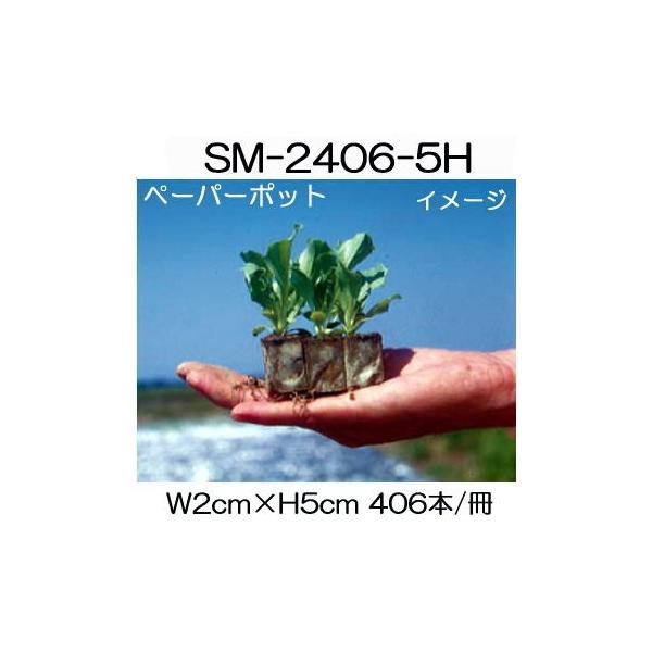 【日甜ペーパーポット】SM2406 （2.0cm角×3.0cm高）200冊入 ペーパーポット SM2406(5H) 406本付120冊 トルコギキョウ、花卉類に