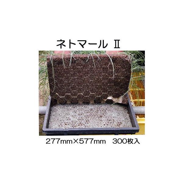 (300) lg}[2 277mm×577mm ~pc (y[p[|bgp) lg}[II jbe {[ؐ |@lElƎҌ