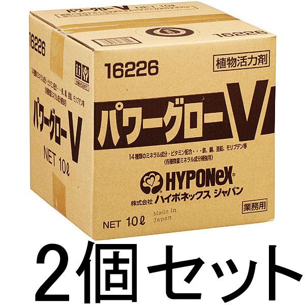 (2�Z�b�g) �p���[�O���[V 10L×2�� �n�C�|�l�b�N�X