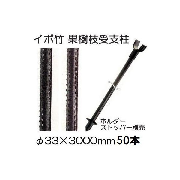 50本組特価) セキスイ イボ竹 (プロ仕様 業務用) 農業用支柱 (黒