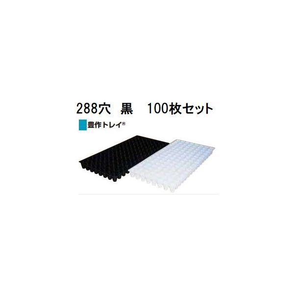 100枚セット特価) 豊作トレイ 288穴 黒 21角 590×300×38mm (セルトレー