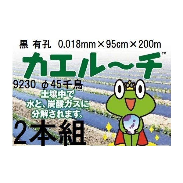 2巻セット) 生分解性マルチフィルム カエルーチ 黒 有孔 9230